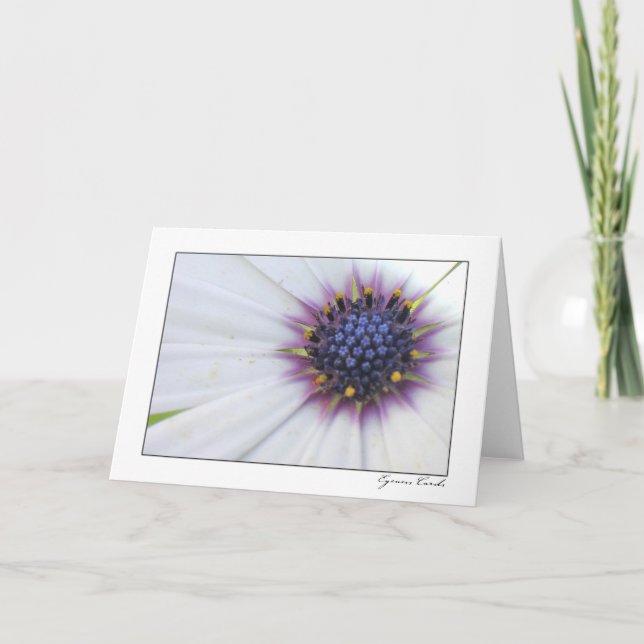 Purple Center Daisy Card (Front)