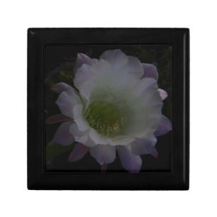 purple cereus flower gift box