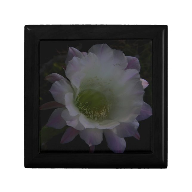 purple cereus flower gift box (Front)