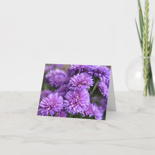 Purple Chinese Aster Bloom Holiday Card