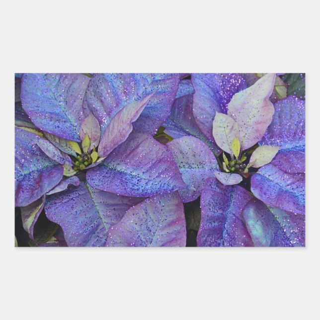 Purple christmas poinsettia rectangular sticker (Front)