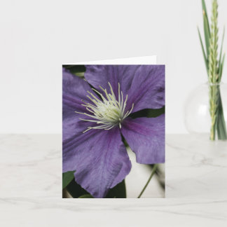 Purple Clematis Card