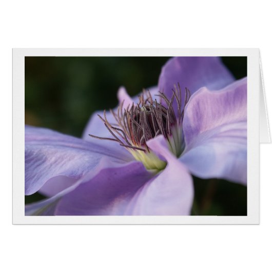 Purple Clematis Card (Front Horizontal)