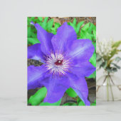 Purple Clematis Flower (Standing Front)