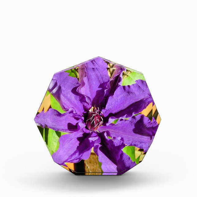 PURPLE CLEMATIS FLOWER ACRYLIC AWARD (Front)