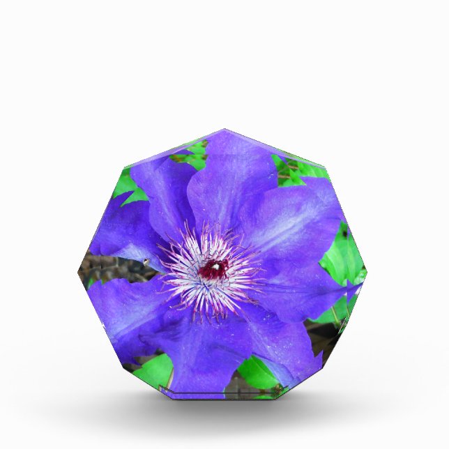 Purple Clematis Flower Award (Front)