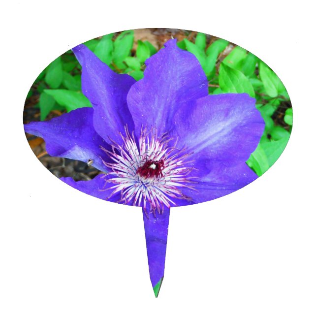 Purple Clematis Flower Cake Topper (Front)