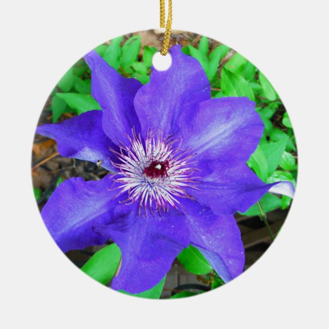 Purple Clematis Flower Ceramic Ornament (Front)