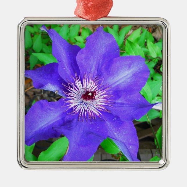 Purple Clematis Flower Metal Ornament (Front)