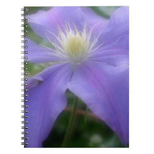 Purple Clematis Flower Nature Notebook