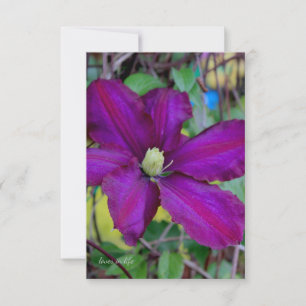 Purple Clematis Flower Note Card