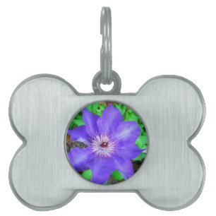 Purple Clematis Flower Pet ID Tag