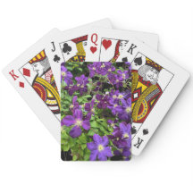 Purple Clematis Flower Photograph