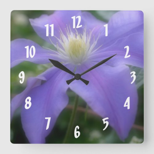 Purple Clematis Flower Square Wall Clock