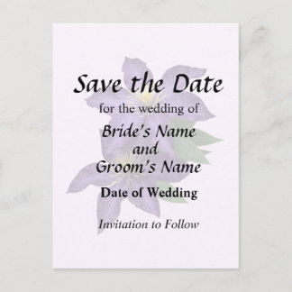 Purple Clematis in the Rain Announcement Postcard