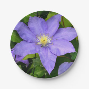 Purple Clematis Paper Plate