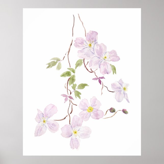 purple clematis watercolor  poster (Front)