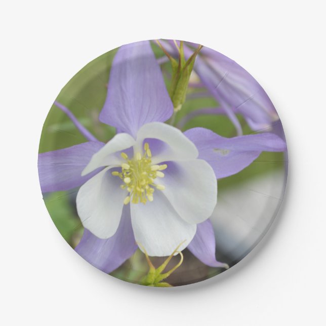 Purple Columbine Paper Plates (Front)