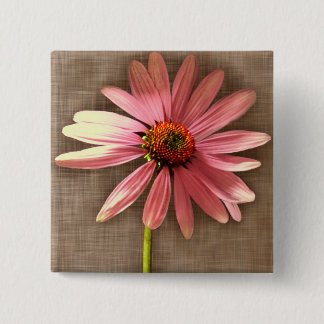 Purple Cone Flower Echinacea purpurea Button
