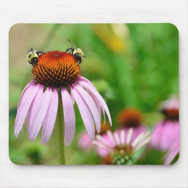 Purple Cone Flower Mouse Pad (Front)