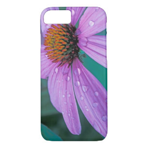Purple Cone flower with water drops iPhone 8/7 Case