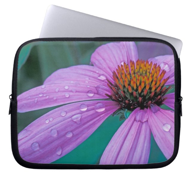 Purple Cone flower with water drops Laptop Sleeve (Front)
