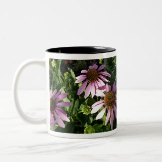 Purple Cone Flowers Two-Tone Coffee Mug