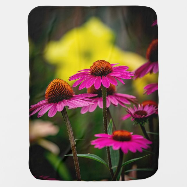 Purple Coneflower Baby Blanket (Front)