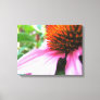 Purple Coneflower Echinacea Close-Up Canvas