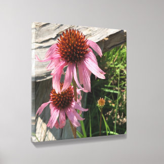 Purple Coneflower Garden Canvas Print Photo Tile