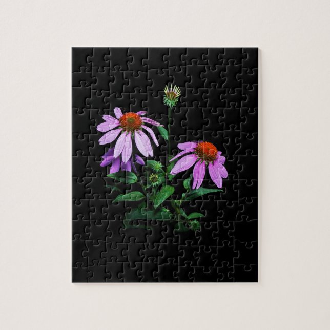 Purple Coneflower On Black Jigsaw Puzzle (Vertical)