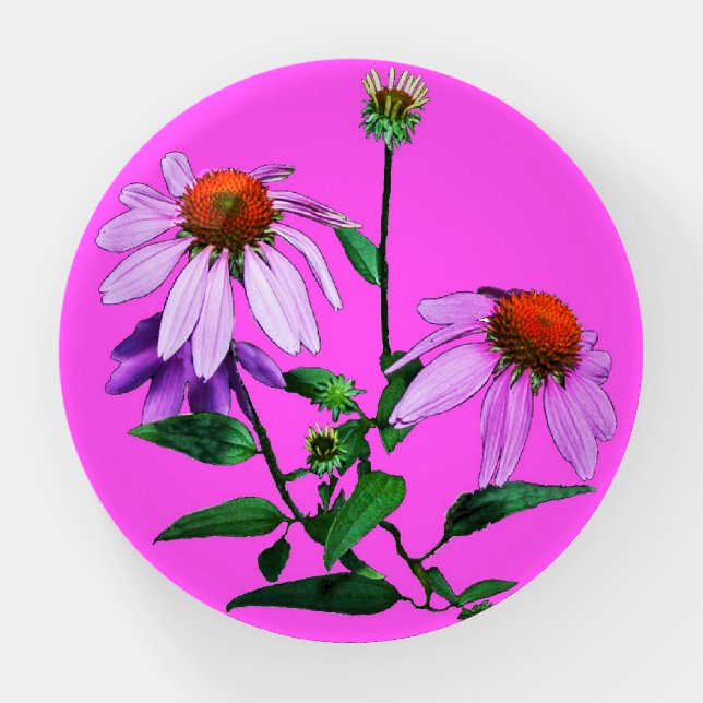 Purple Coneflower On Pink  Paperweight (Front)