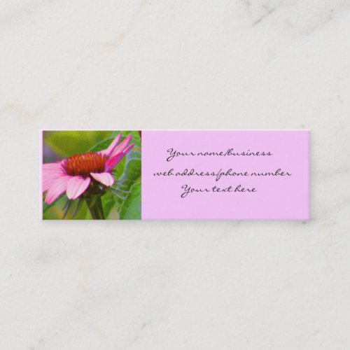 Purple Coneflower Profile Cards Business Card