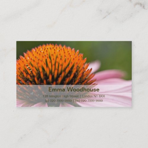 Purple Coneflower | Sonnenhut Business Card Template