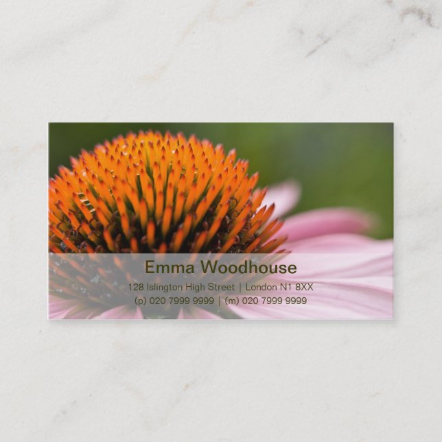Purple Coneflower | Sonnenhut Business Card (Front)
