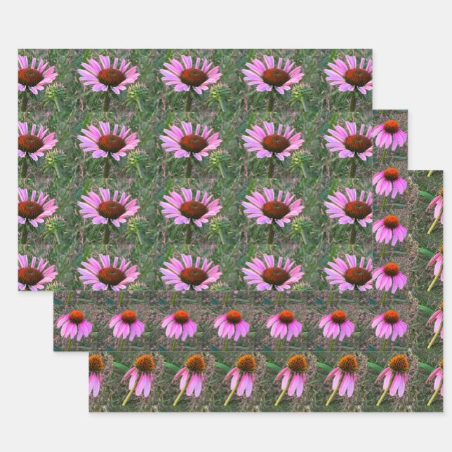 Purple Coneflower Wrapping Paper Sheets (Creator Uploaded)