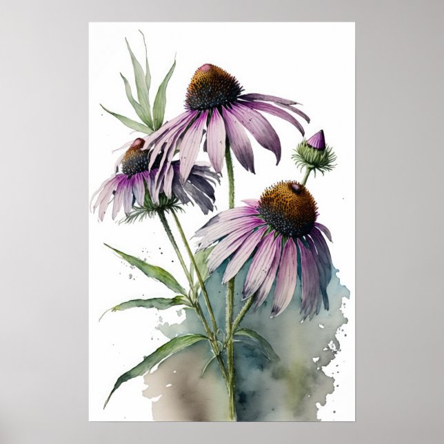 Purple Coneflowers Art Print Poster (Front)
