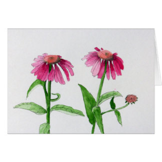 Purple Coneflowers Cards