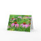 Purple Coneflowers