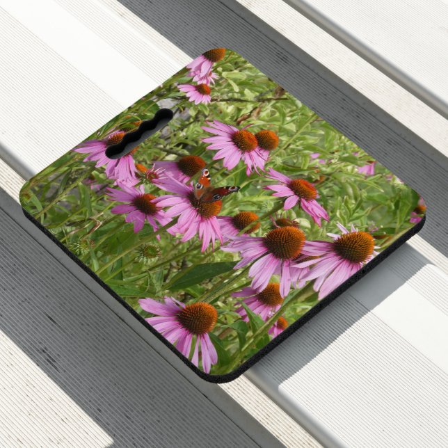 Purple Coneflowers with Butterfly Seat Cushion (In Situ)