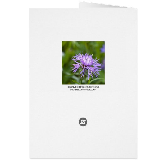 Purple Cornflower (Back)