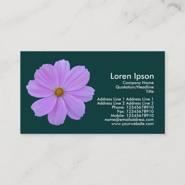 Purple Cosmos - Dark Green (003333) Business Card (Front)