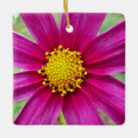 Purple Cosmos Flower Beautiful Wildflower Ceramic Ornament
