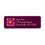 Purple Cosmos Flower Beautiful Wildflower Label