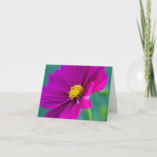 Purple Cosmos flower Greeting card