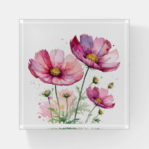 Purple cosmos flowers paperweight