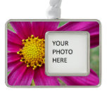 Purple Cosmos Wildflower Christmas Ornament