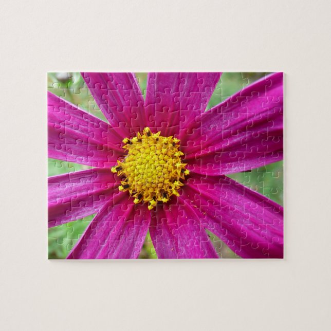 Purple Cosmos Wildflower Jigsaw Puzzle (Horizontal)