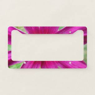 Purple Cosmos Wildflower License Plate Frame