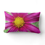 Purple Cosmos Wildflower Lumbar Pillow